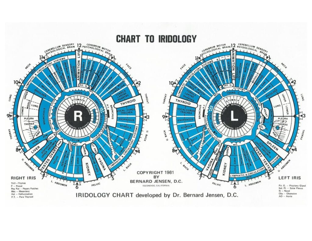 Bernard Jensen iridology chart